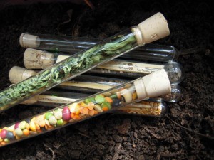 Zero Waste Glass Seed tubes - Spice and Herb storage (6)