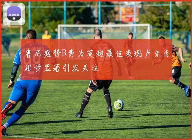 鲁尼盛赞B费为英超最佳表现卢克肖进步显著引发关注