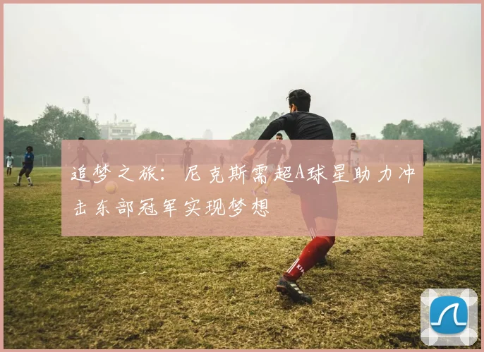 追梦之旅：尼克斯需超A球星助力冲击东部冠军实现梦想
